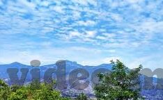 91麻豆星空-隐私与自由的边界，浅谈91麻豆星空争议事件