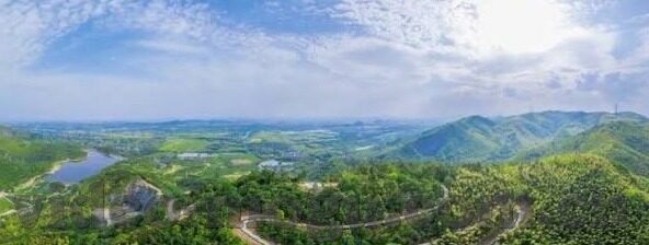 91视频青青草麻豆-91视频青青草麻豆的虚拟世界与现实生活的微妙平衡