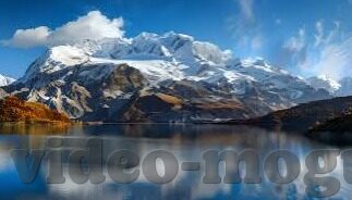 果冻传媒APP哪里下载-探索果冻传媒APP的下载之旅，从好奇到享受的便捷路径