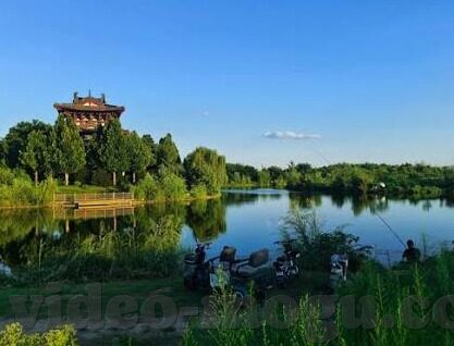 麻豆传媒视频国产之光下载-麻豆传媒视频，国产之光下载的深度观察