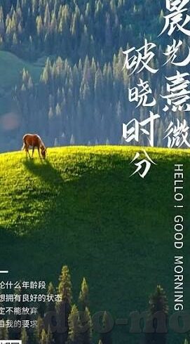 日韩av一区三区-探索日韩AV文化，一区与三区的独特魅力