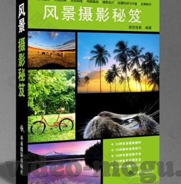 日韩午夜理论av在线观看-探索成人娱乐的边界，日韩午夜理论AV在线观看的多元视角
