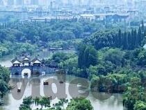 糖心黄台app下载安装-解锁新奇体验——探索糖心黄台app的下载与安装