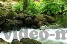 糖心vlog会员兑换码免费领取-甜蜜时刻，免费领不停 —— 糖心Vlog会员兑换码惊喜大放送！