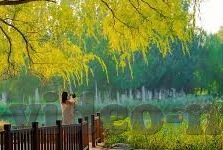 糖心vlog无限次数版下载-糖心Vlog，解锁无尽精彩，探索无限可能