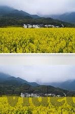 亚洲国产精品久久av麻豆-亚洲文化视角下的国产精粹，久久av麻豆的艺术探讨与文化透视