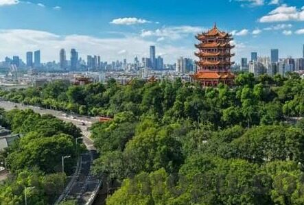 亚洲麻豆视频自拍-新潮流的镜像，亚洲麻豆的自拍文化探索