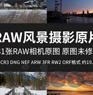 一区二区,麻豆视频-一区二区，数字化时代的多元化内容探索